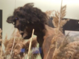 Ocio-familiar-cultural-Prehistoria-MAN