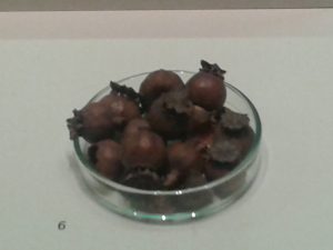 domingo-planes-culturales-Prehistoria-Arqueológico