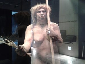 Tour-paseo-Prehistoria-MAN-Madrid