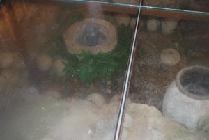 Ruta-visita-guiada-murallas-Madrid