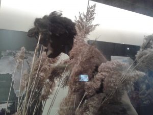 Plan-conhijos-Madrid-cultura-tour