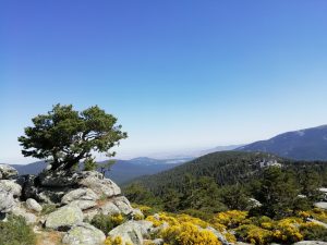 Visitas-rutas-guiadas-didácticas-enMadrid